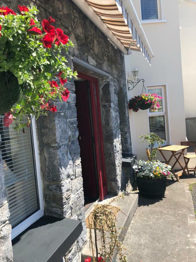 Amber Hill Bed & Breakfast Galway Exterior foto